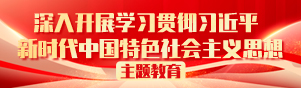 深入开展学习贯彻习近平新时代中国特色社会主义思想主题教育